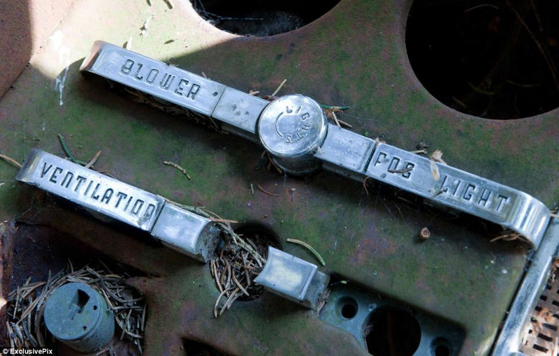 Illustration for article titled Chatillon, Belgium. The Graveyard Of The Cars Of The American Soldiers Deployed In Europe, Who Didn't Take Them Back To The U.S.A.